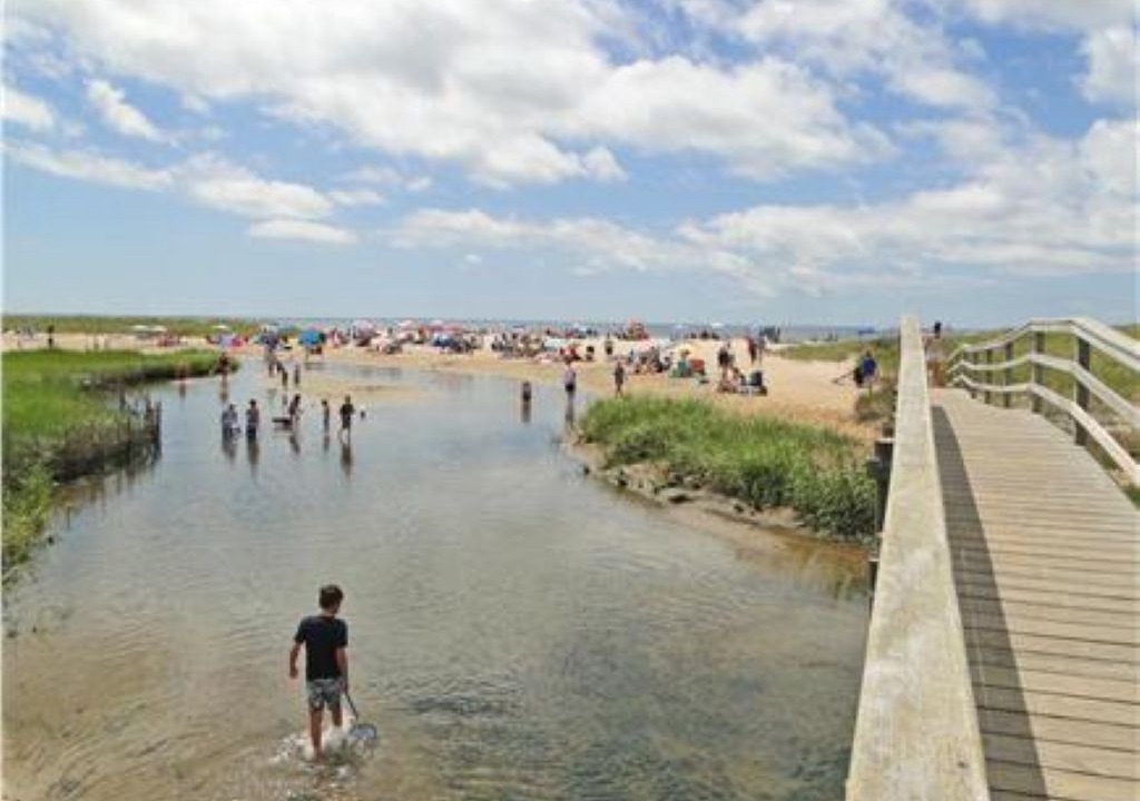 Photo of Others in South Harwich