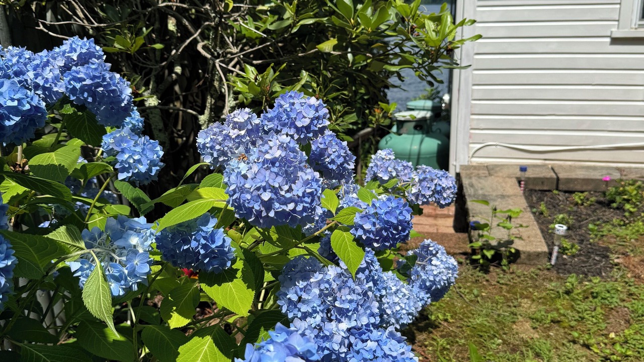 Photo of Outdoor in Ashburnham