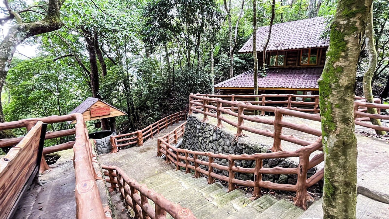 Photo of Outdoor in Tuba