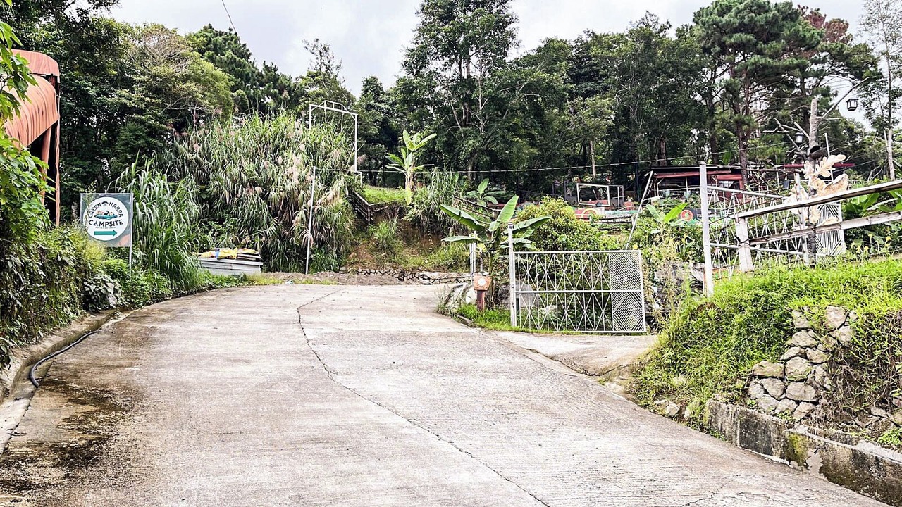 Photo of Outdoor in Tuba