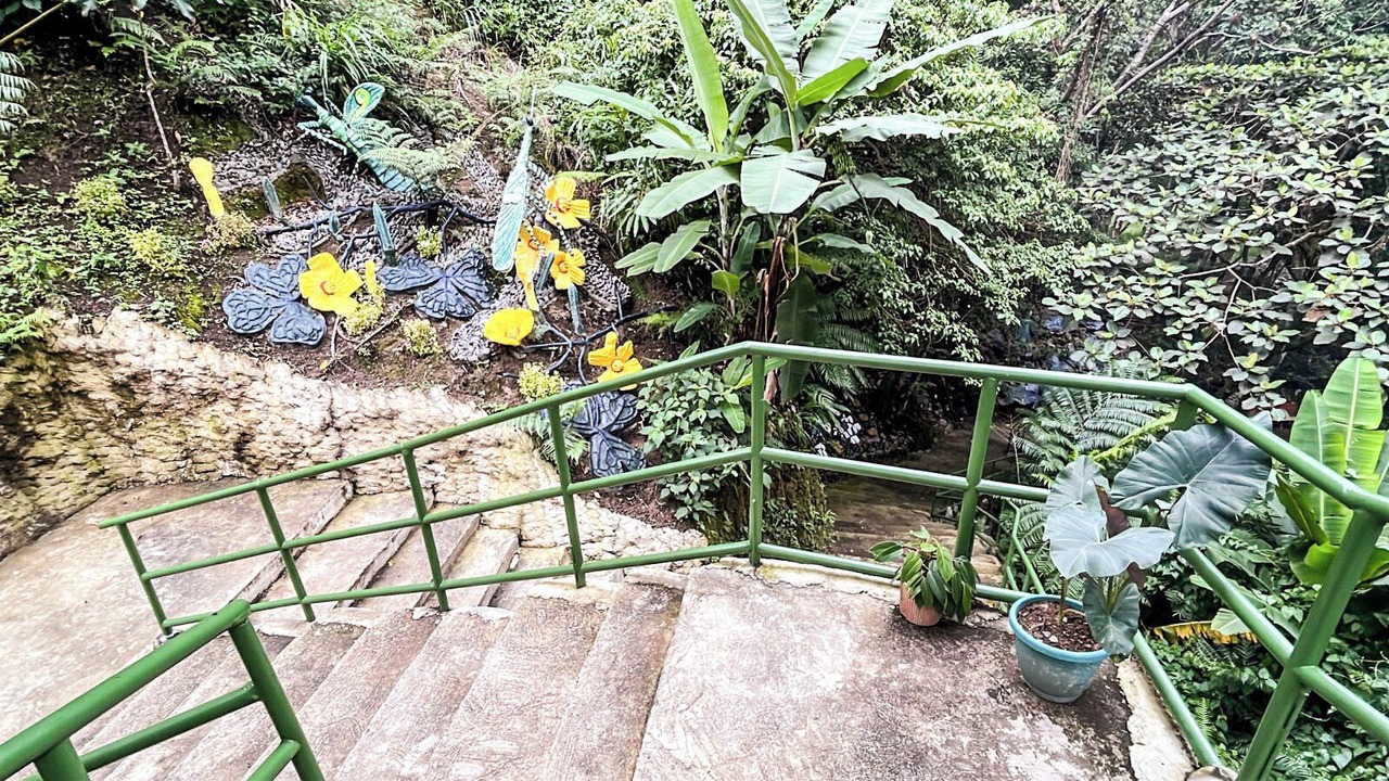 Photo of Outdoor in Tuba