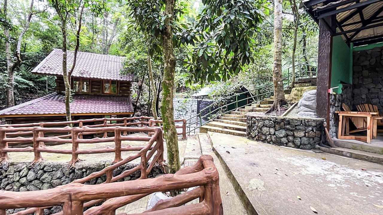 Photo of Outdoor in Tuba