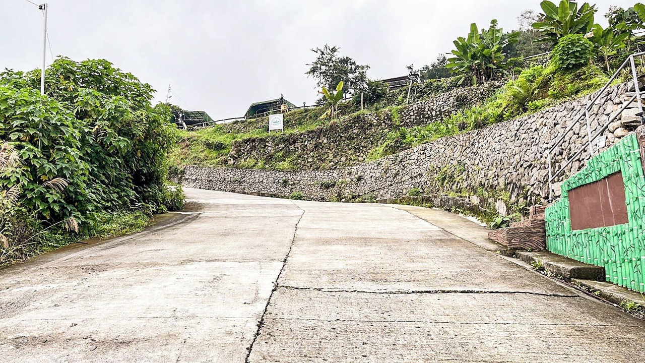 Photo of Outdoor in Tuba