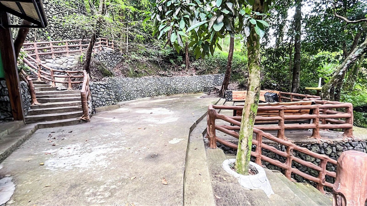 Photo of Outdoor in Tuba
