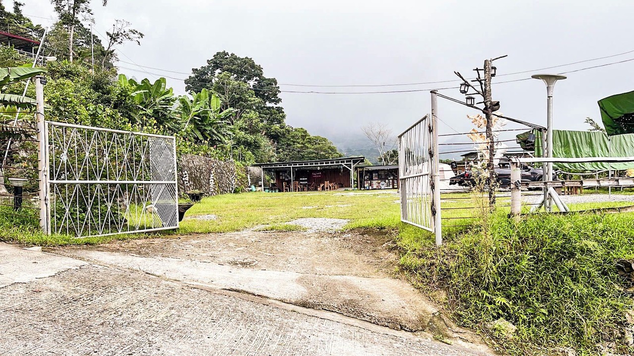 Photo of Outdoor in Tuba