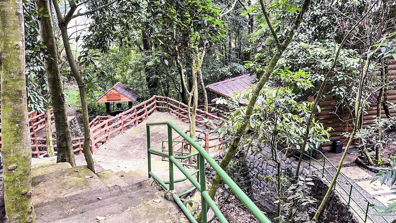 Photo of Outdoor in Tuba