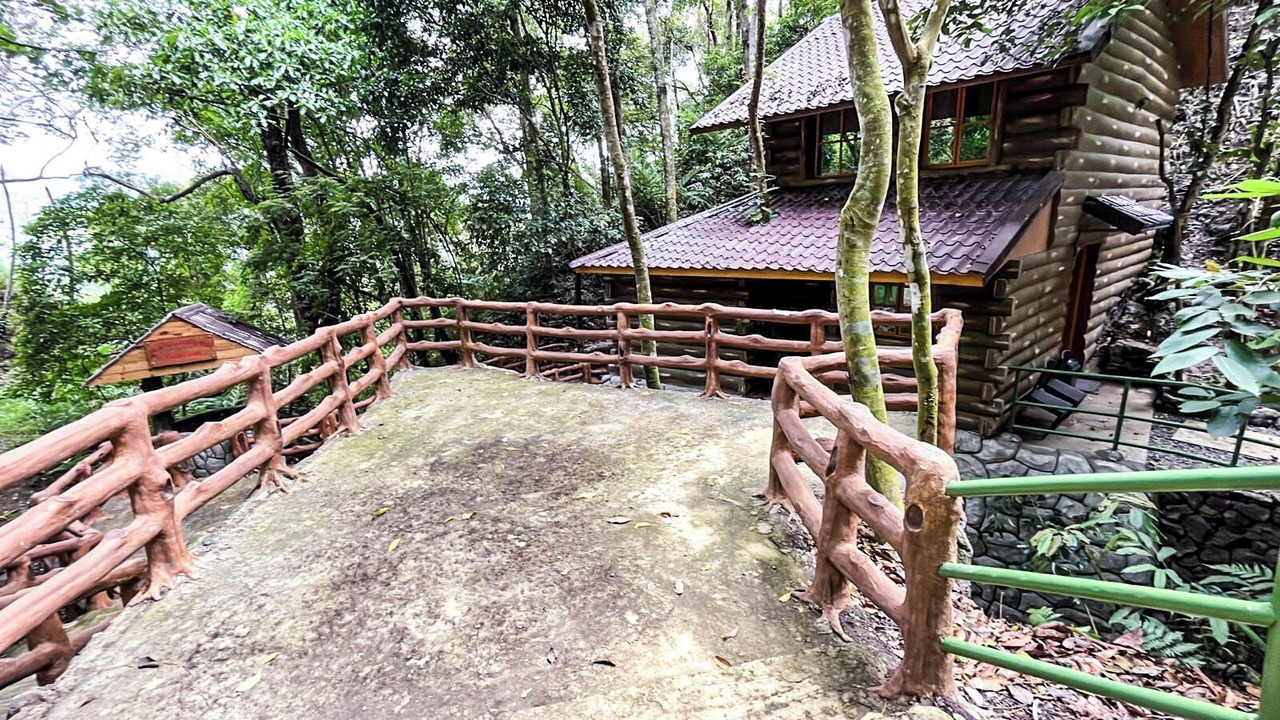 Photo of Outdoor in Tuba