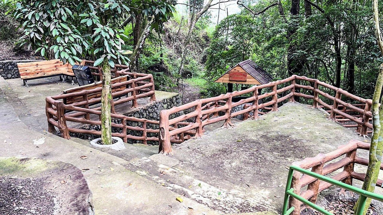 Photo of Outdoor in Tuba