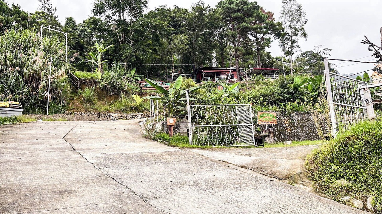 Photo of Outdoor in Tuba