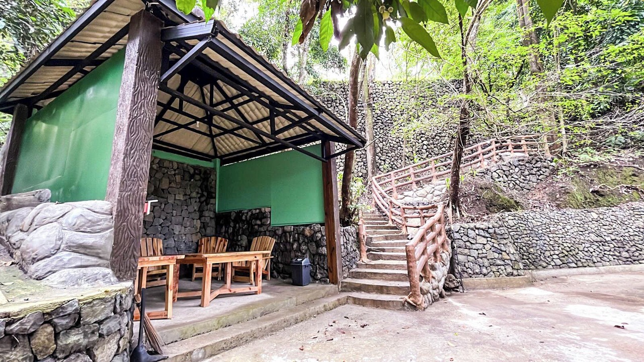 Photo of Outdoor in Tuba
