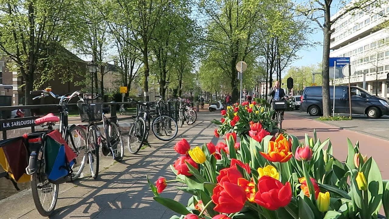 Photo of Outdoor in Museum Quarter