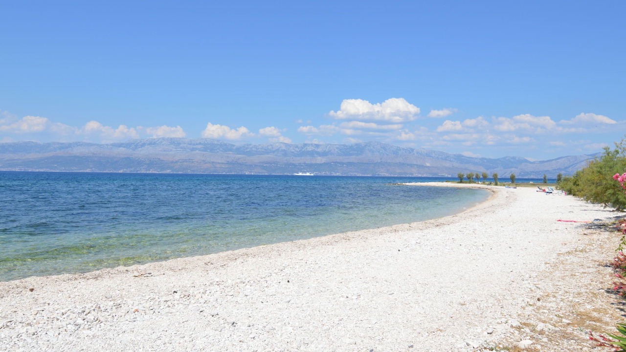 Photo of Others in Mirce