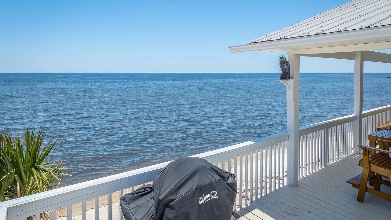 Photo of Outdoor in Alligator Point