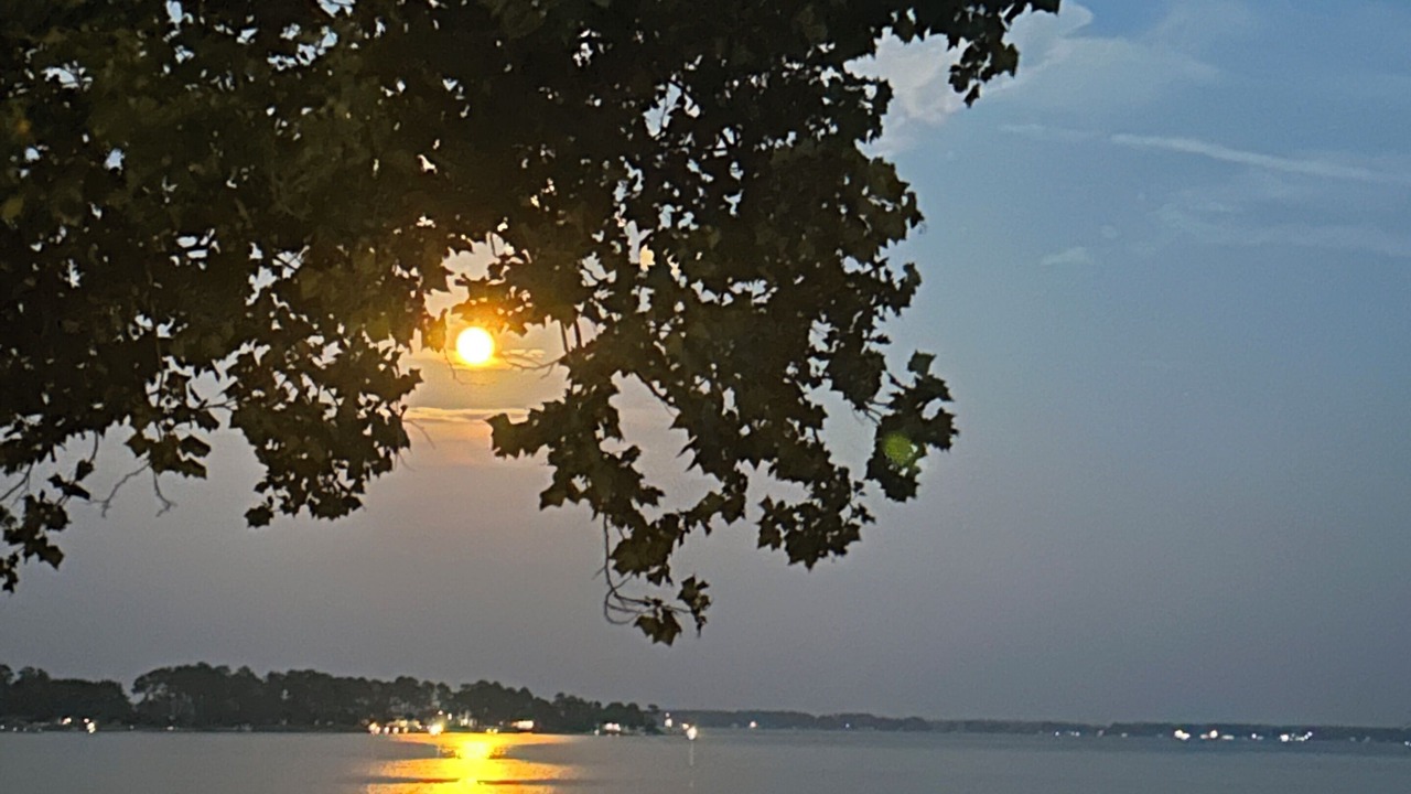 Photo of Others in Deltaville