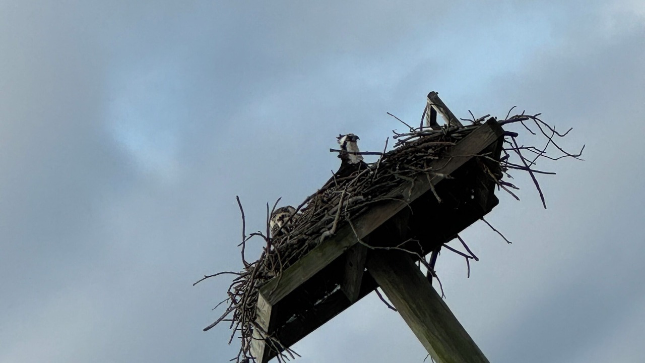 Photo of Others in Deltaville