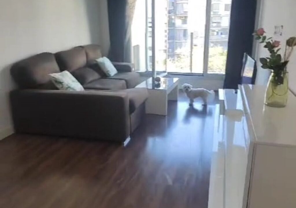 Photo of Livingroom in El Port