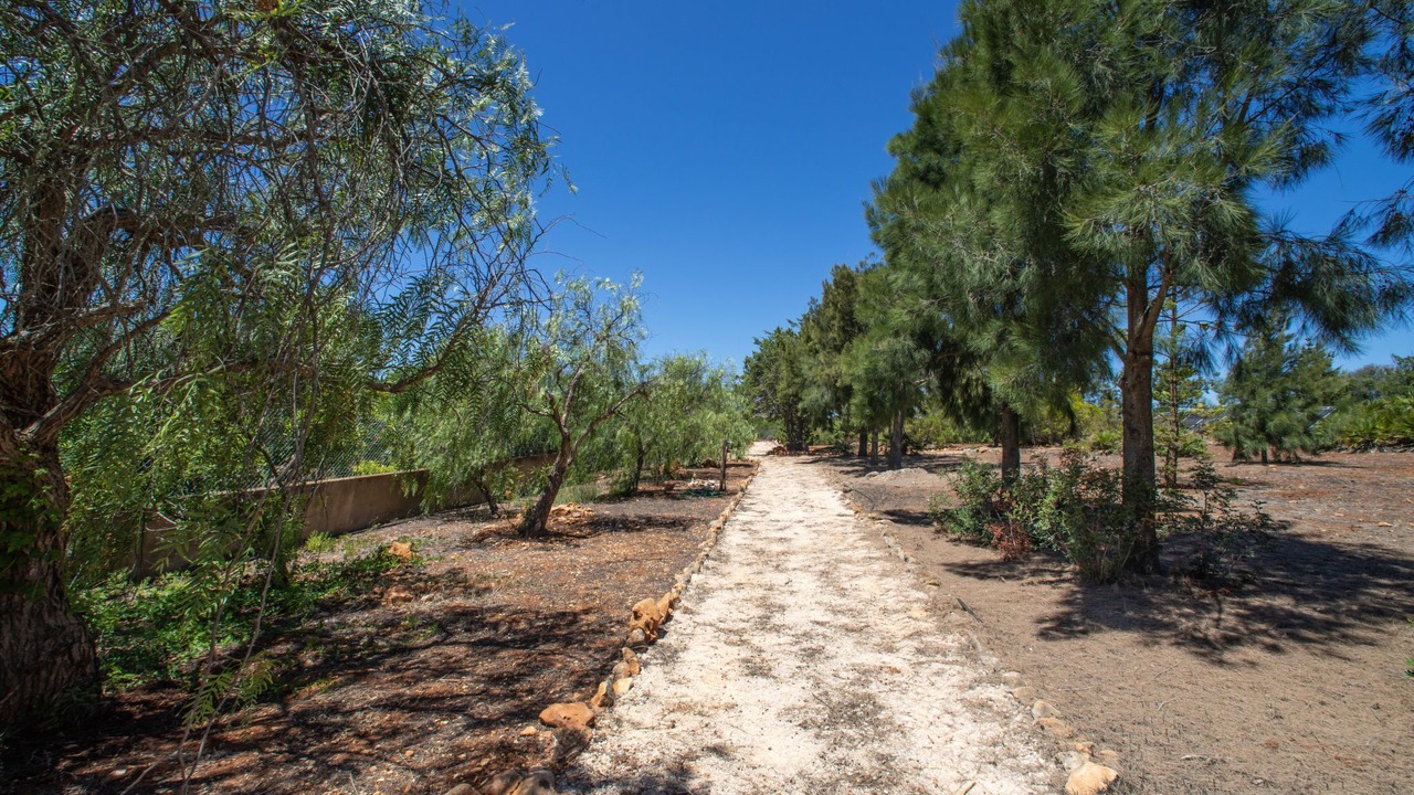 Photo of Outdoor in Sargacal