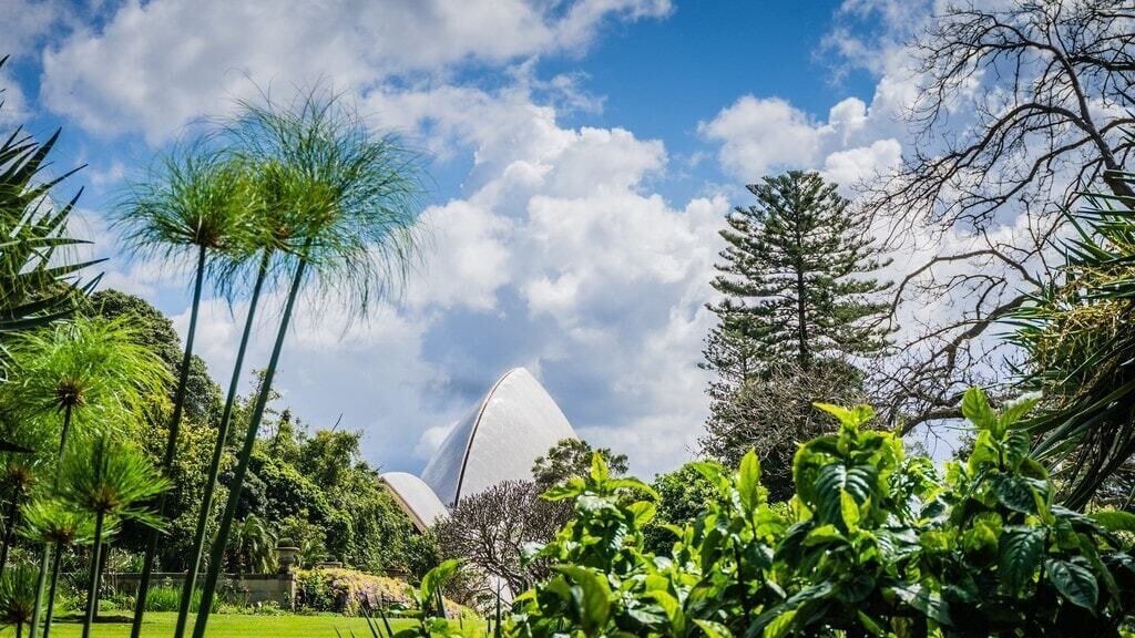 Photo of Outdoor in Parramatta