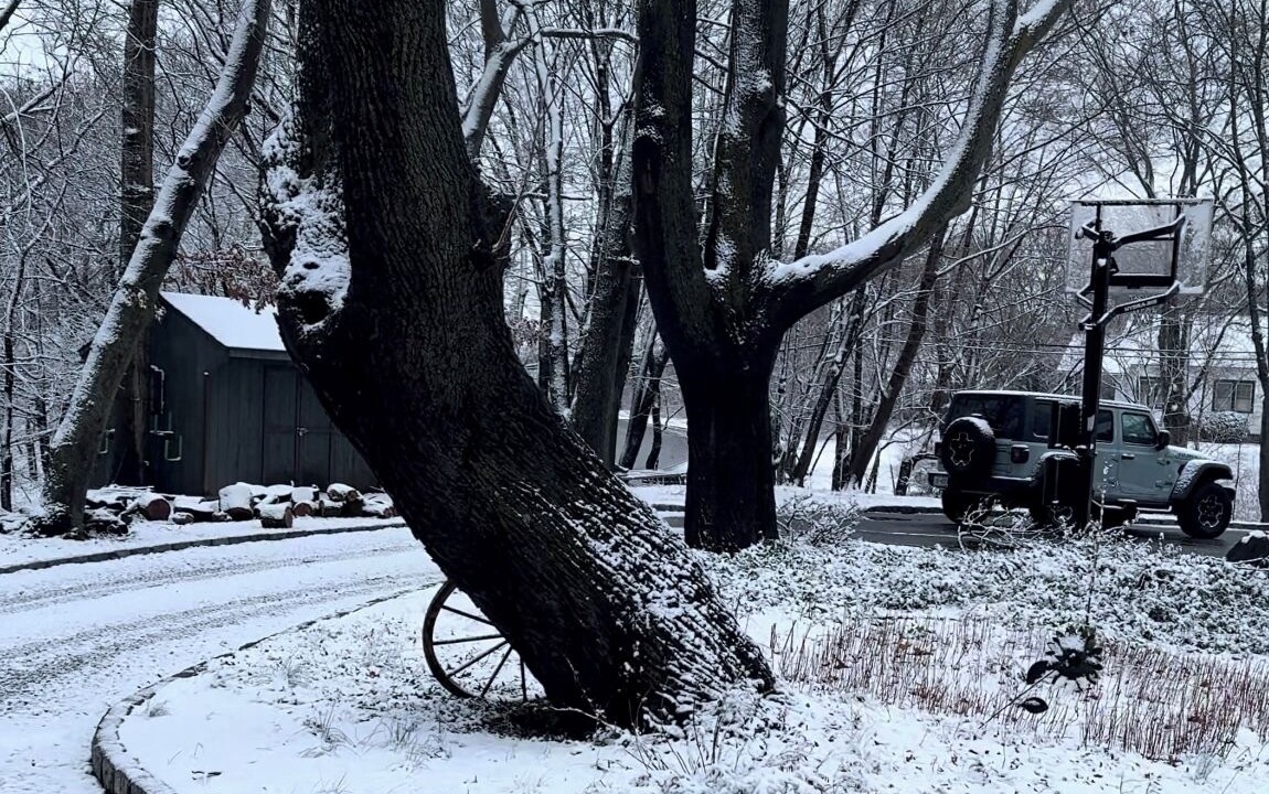 Photo of Outdoor in Port Jefferson Station