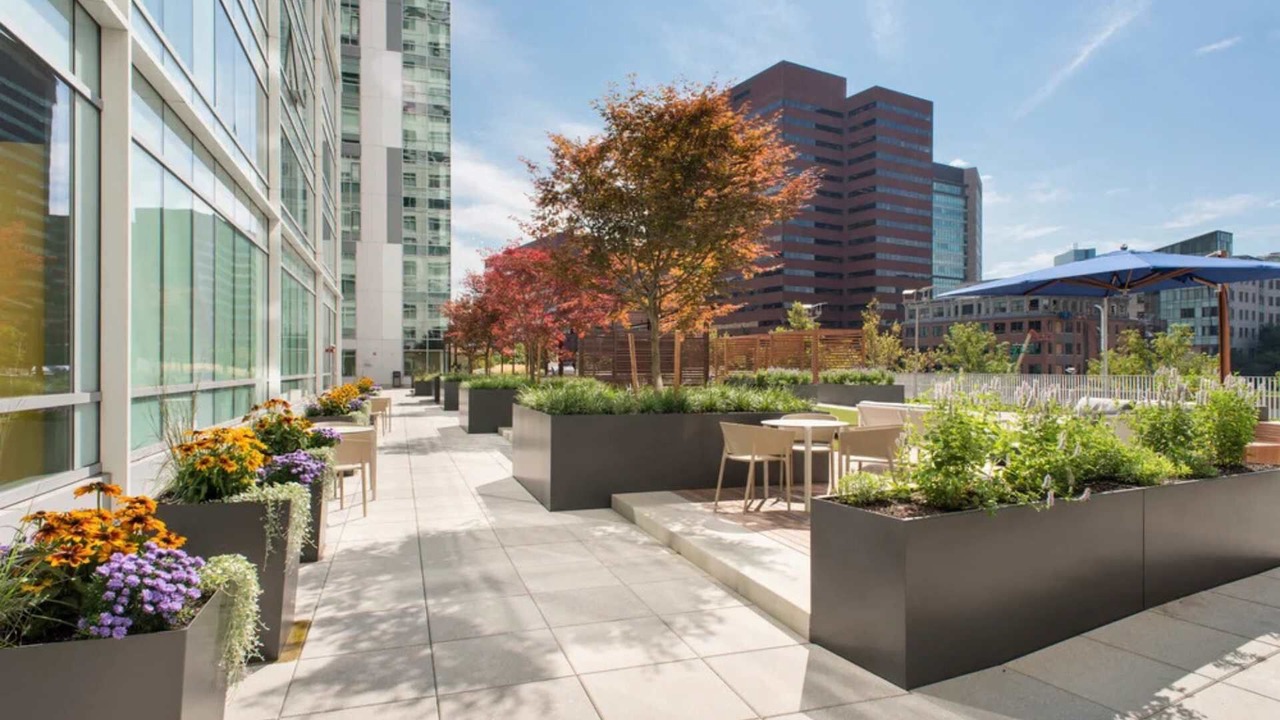 Photo of Outdoor in East Cambridge