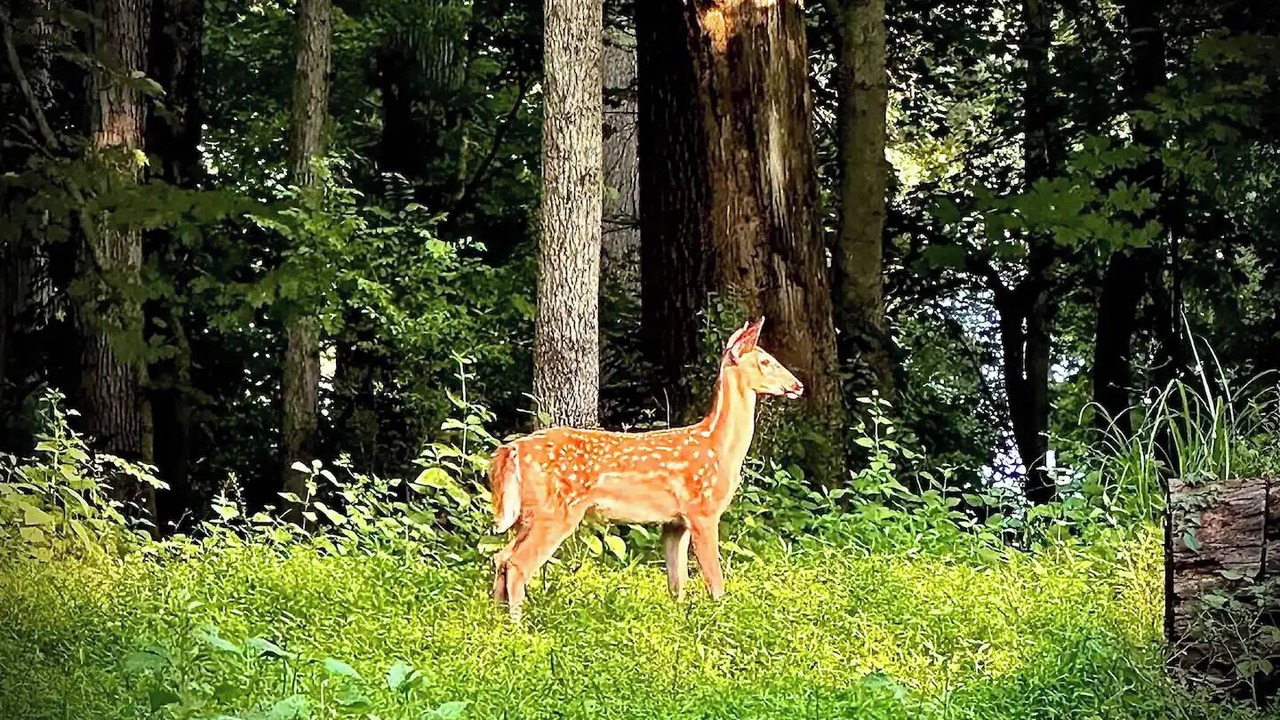 Photo of Outdoor in French Lick