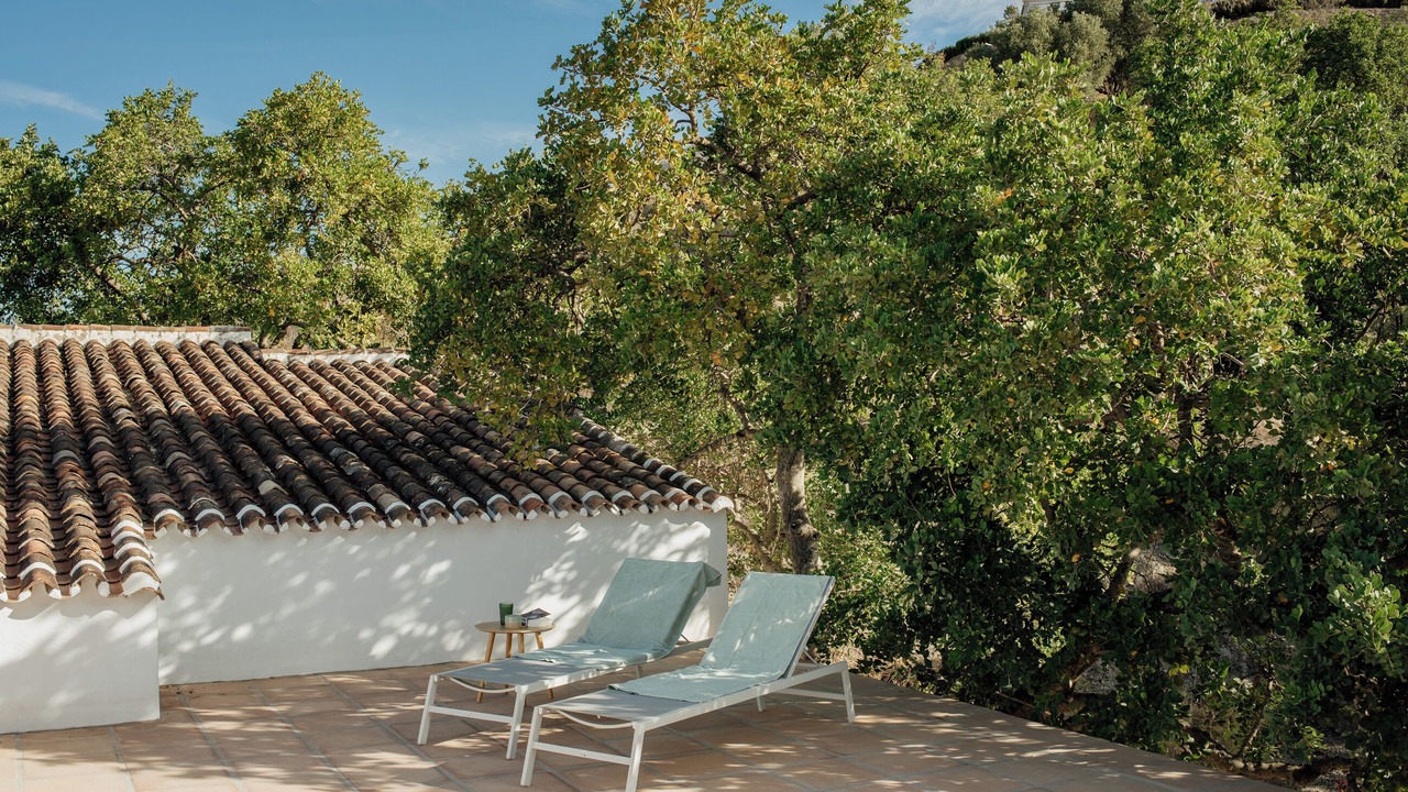 Photo of Patio Balcony in Canillas de Aceituno