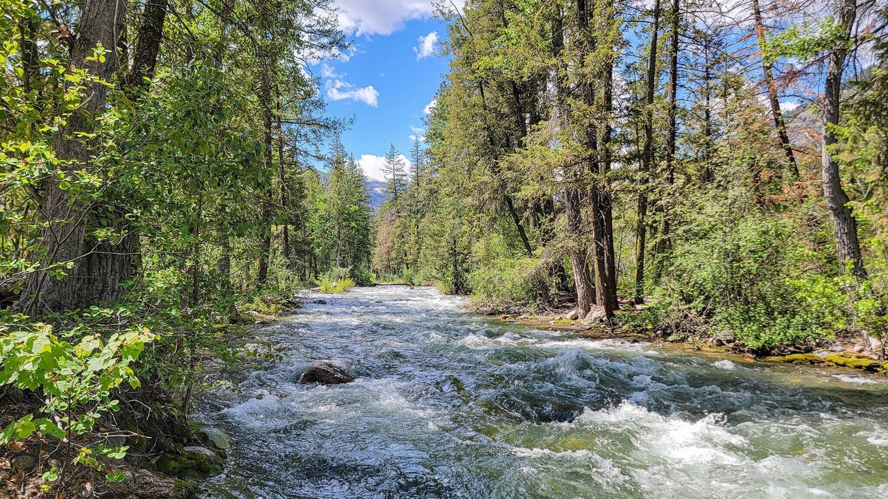 Photo of Others in Mazama