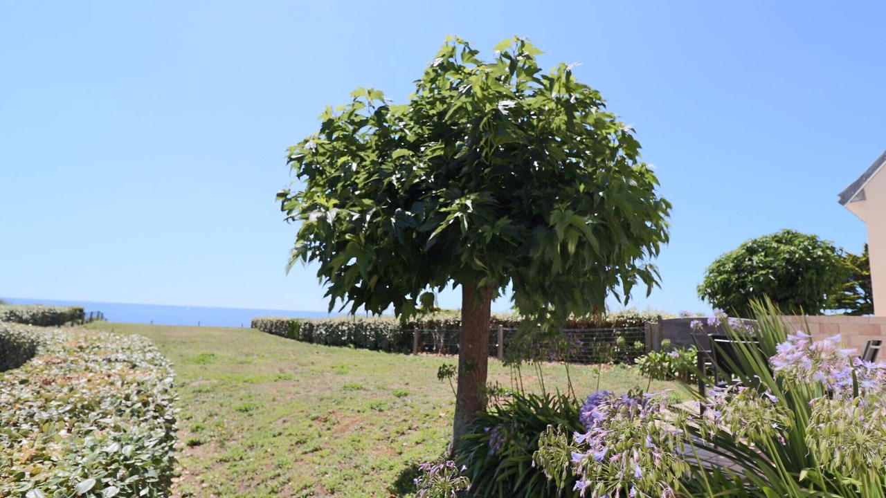 Photo of Outdoor in Poulgoazec