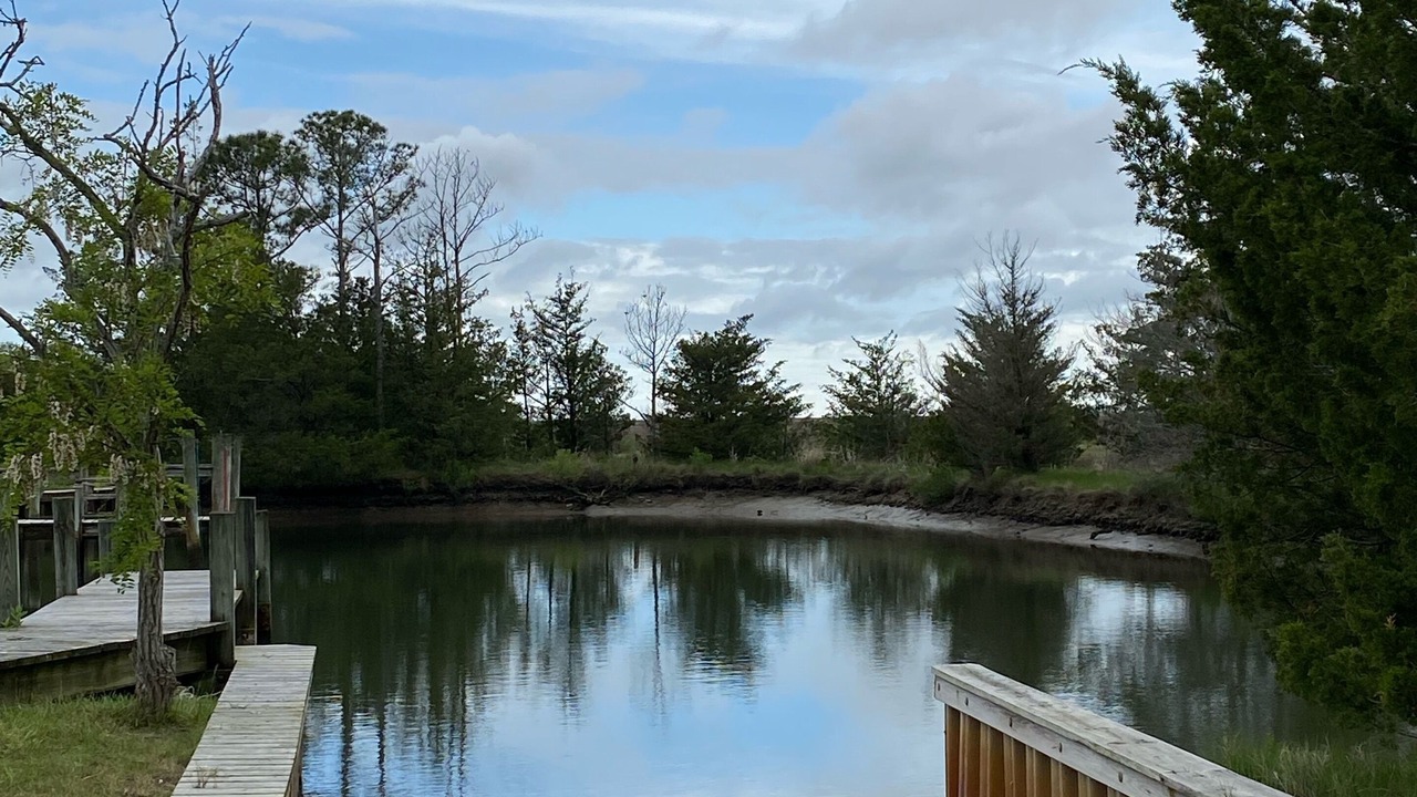 Photo of Outdoor in Greenbush