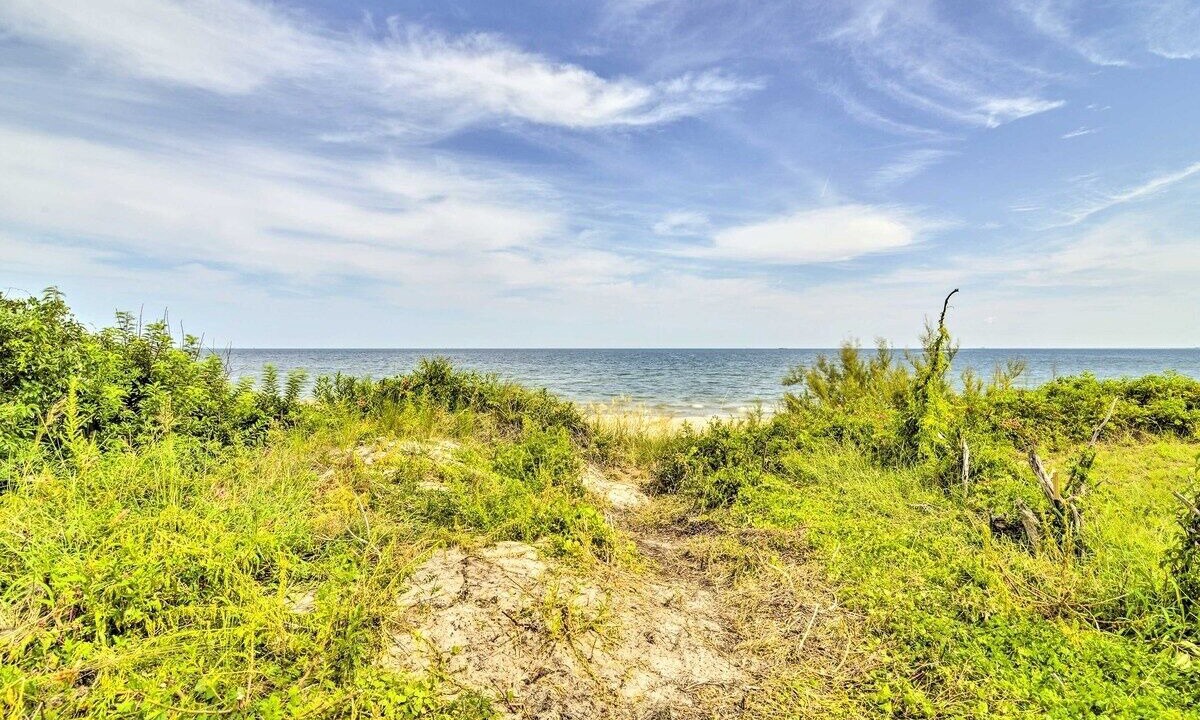 Photo of Others in East Ocean View