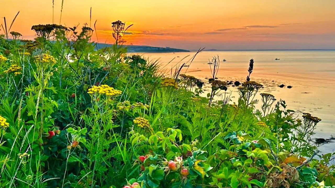 Photo of Others in Manomet