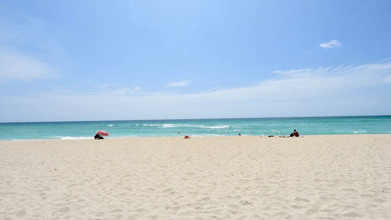Photo of Others in North Beach