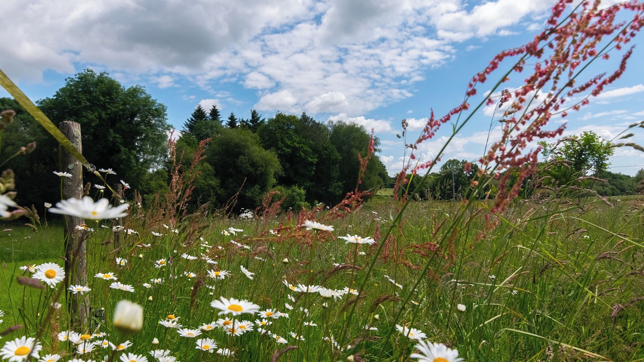 Photo of Outdoor in Le Mene