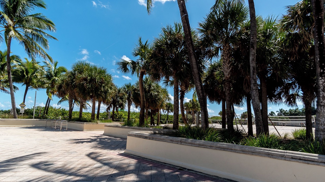 Photo of Outdoor in North Beach