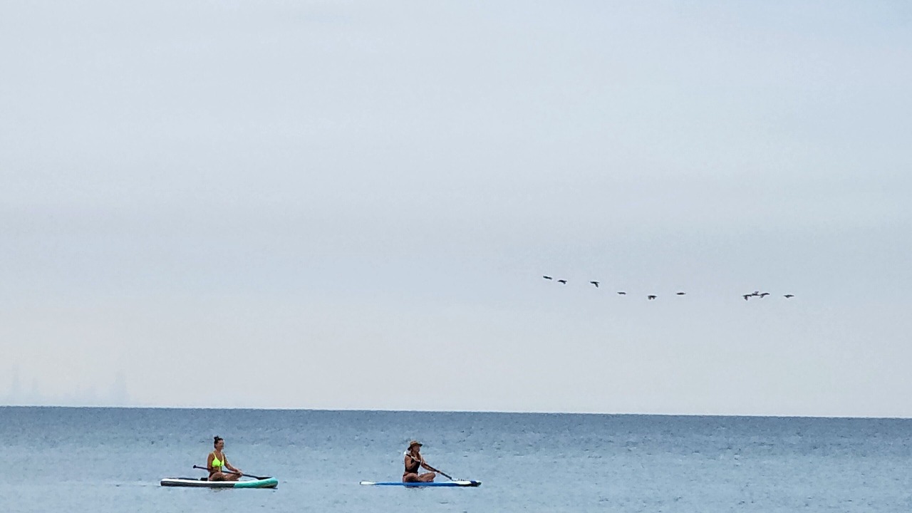 Photo of Others in Miller Beach