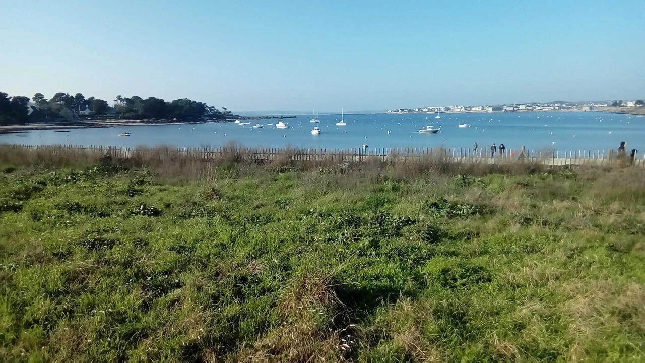Photo of Others in Concarneau