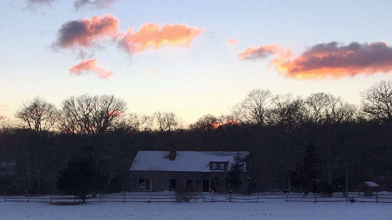Photo of Others in West Tisbury