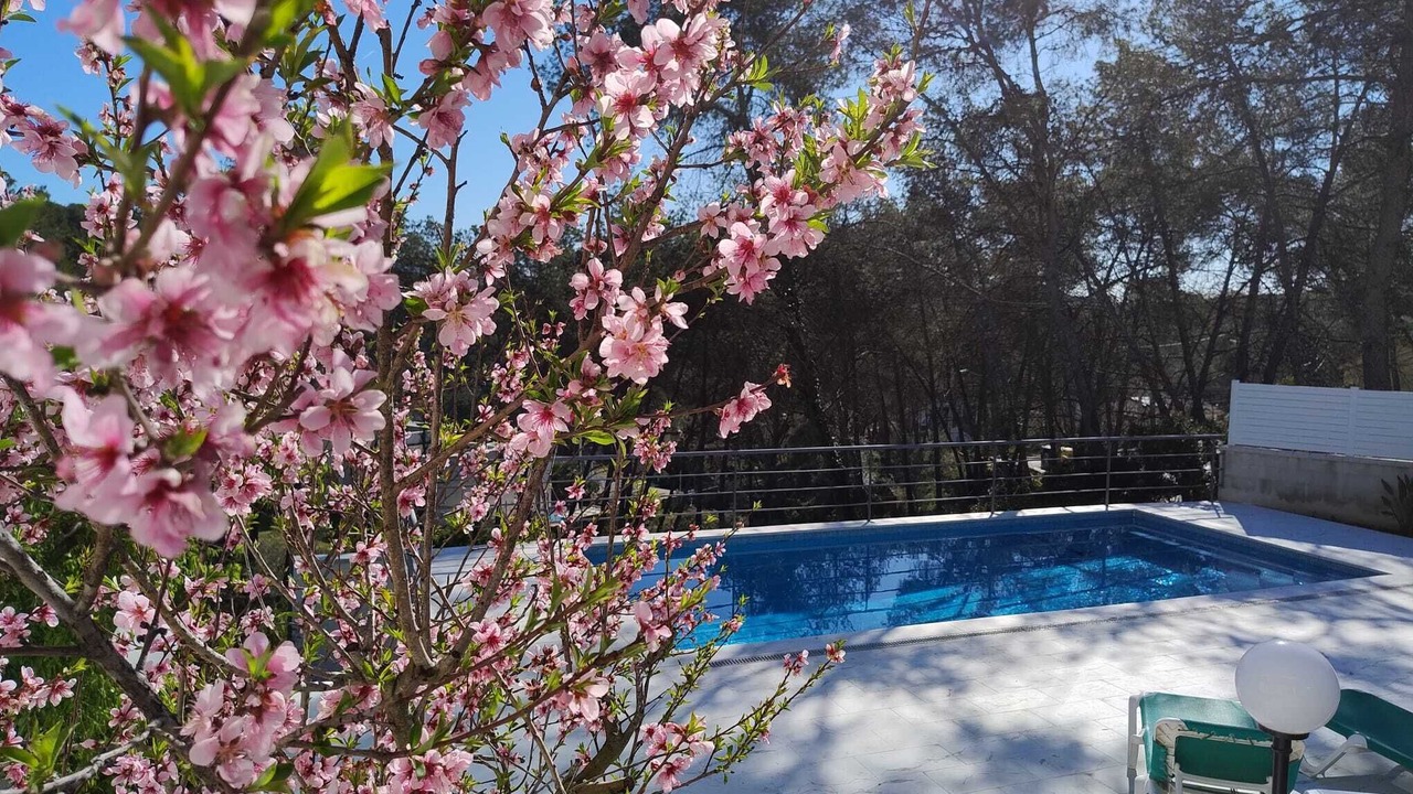 Photo of Outdoor in Olivella