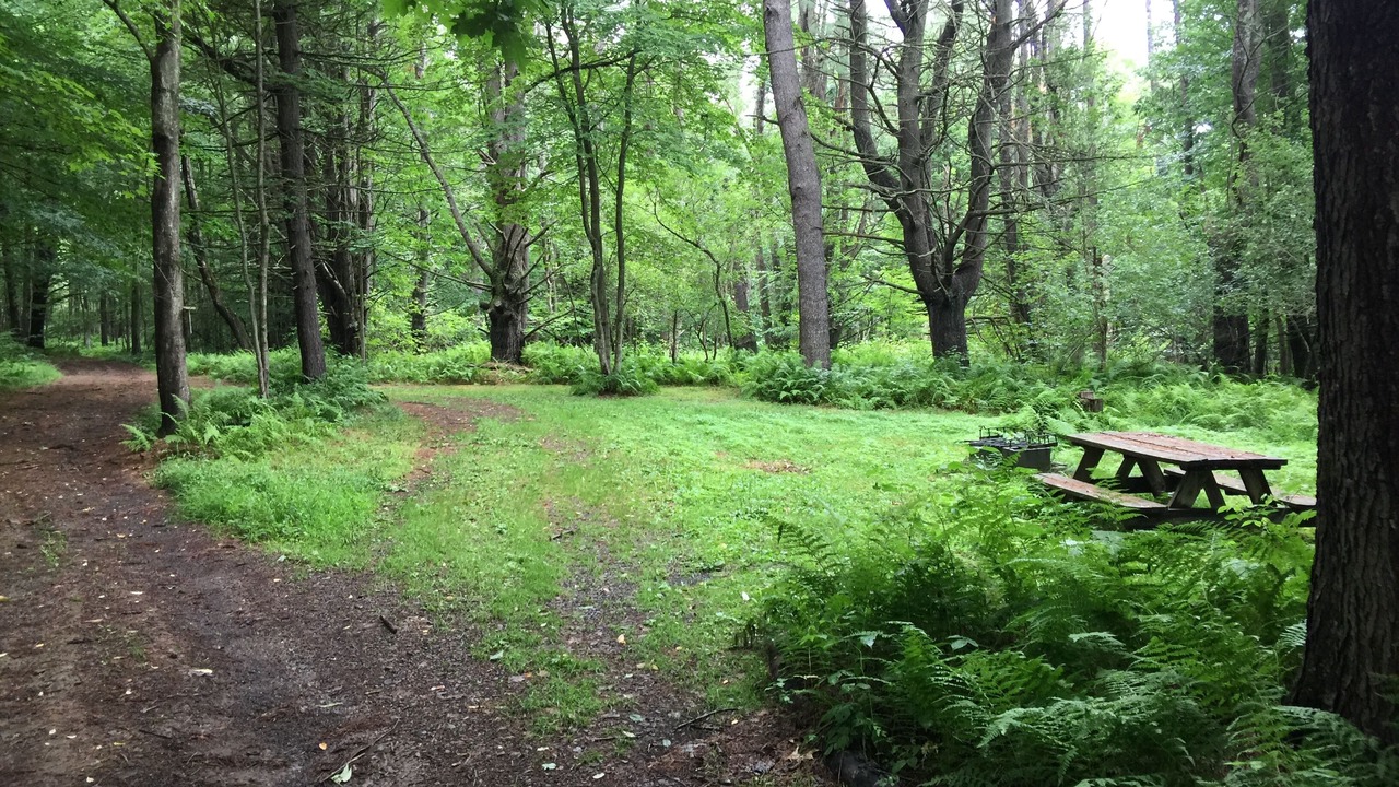 Photo of Outdoor in Unadilla