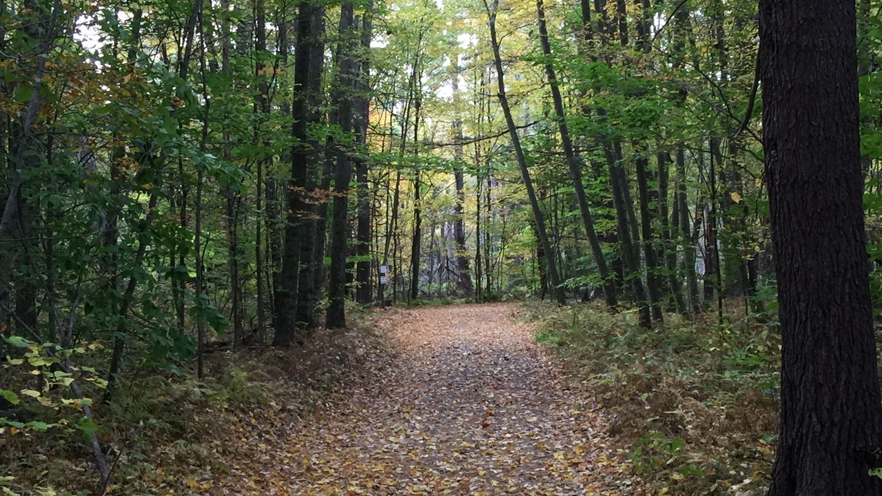 Photo of Outdoor in Unadilla