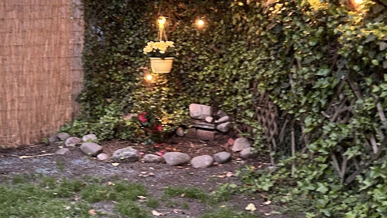 Photo of Outdoor in Central Newport News