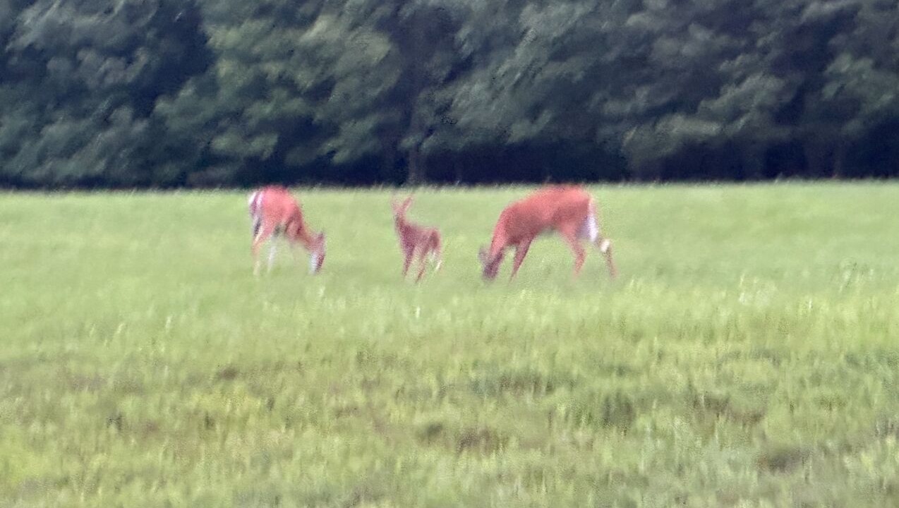 Photo of Others in Falls of Rough
