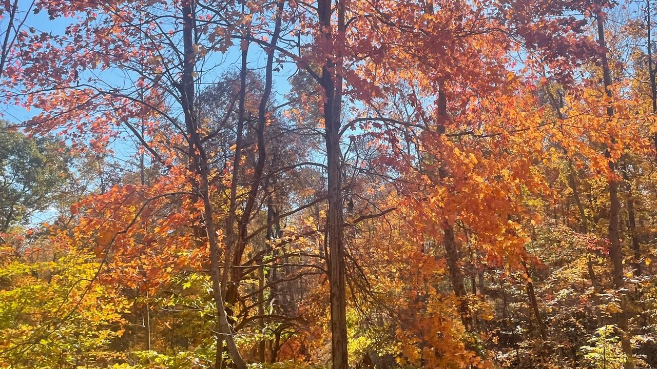 Photo of Outdoor in Falls of Rough