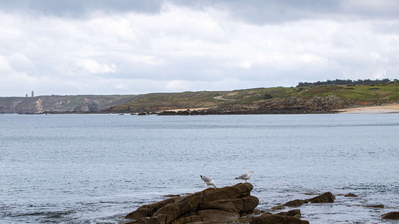 Photo of Others in Pleherel-Plage-Vieux-Bourg