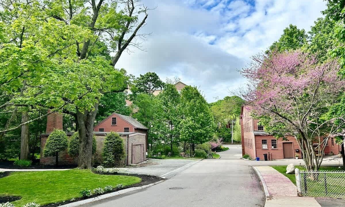 Photo of Outdoor in Arlington