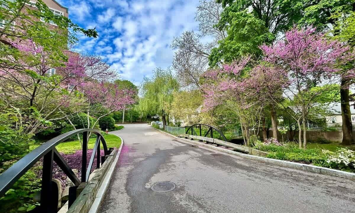 Photo of Others in Arlington