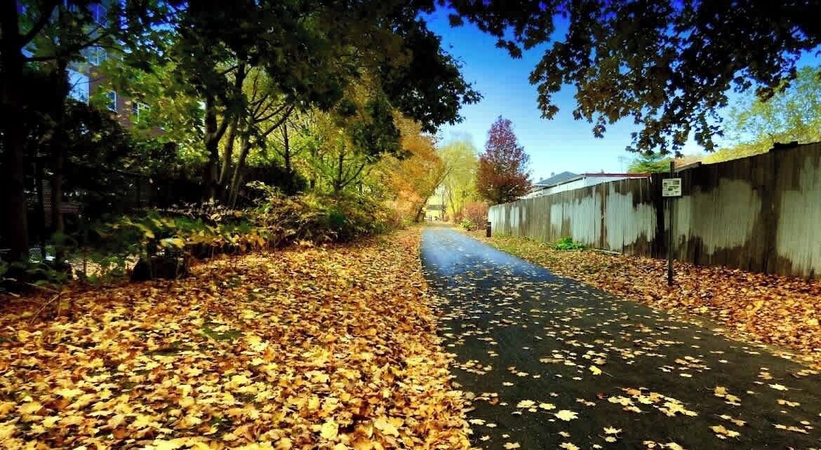 Photo of Outdoor in Arlington