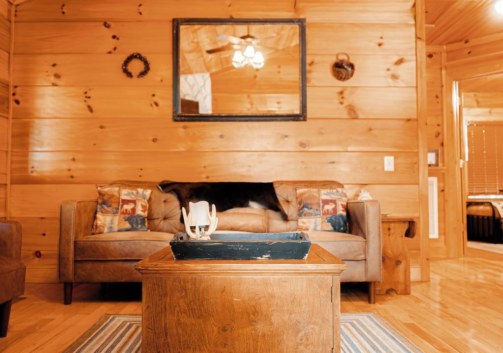 Photo of Livingroom in Piper Gap