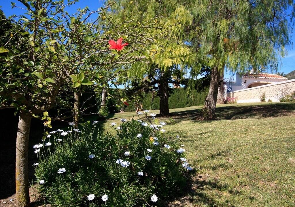 Photo of Outdoor in Montgo de Toscamar
