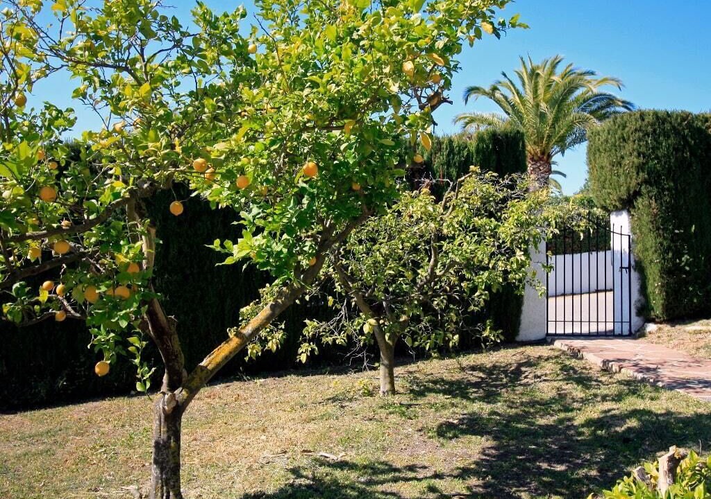 Photo of Outdoor in Montgo de Toscamar